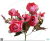 b7f9dfdcc0e4cf81d6ed189e0071d8fc.png