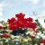 7059dd2b3467c151f42db2fef41c911a.jpg