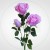 b4a8601ef2eb92626295786314ffd573.jpg