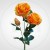 21d17fb326c5749a9977a3e556a55ed9.jpg