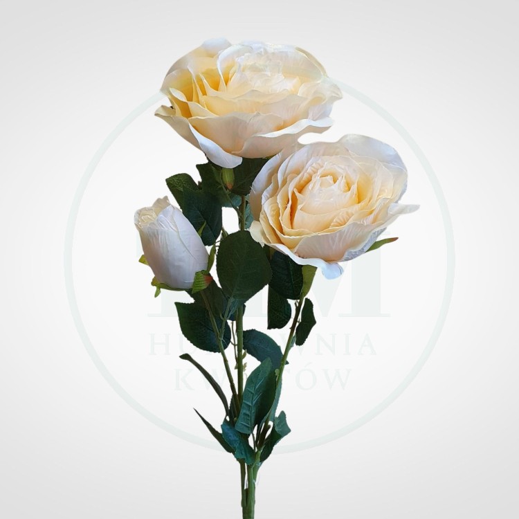 921ebdcb2d882cd76607cea00d437feb.jpg