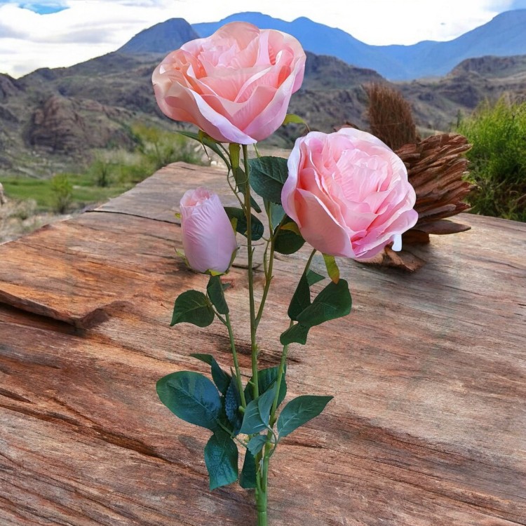 a776e40f18b795017c32ec132ca1edf5.jpg