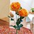 aabb3ab2043d9b0cebb6b9b252fdc35b.jpg