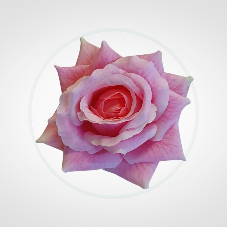 6d037cf44d7c819b91181d8311ce6625.jpg