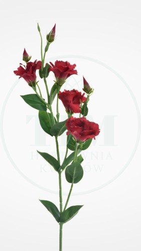 9d61ac88bf75f21b4ae7675eec11c989.jpg