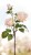 87dd3bbc385be69d9643a86331e3ec51.jpg
