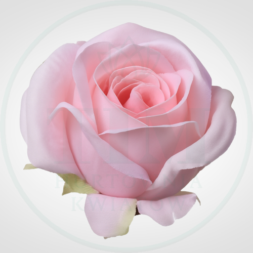 6853d2f64ae619d9b137a028a2f58b74.png