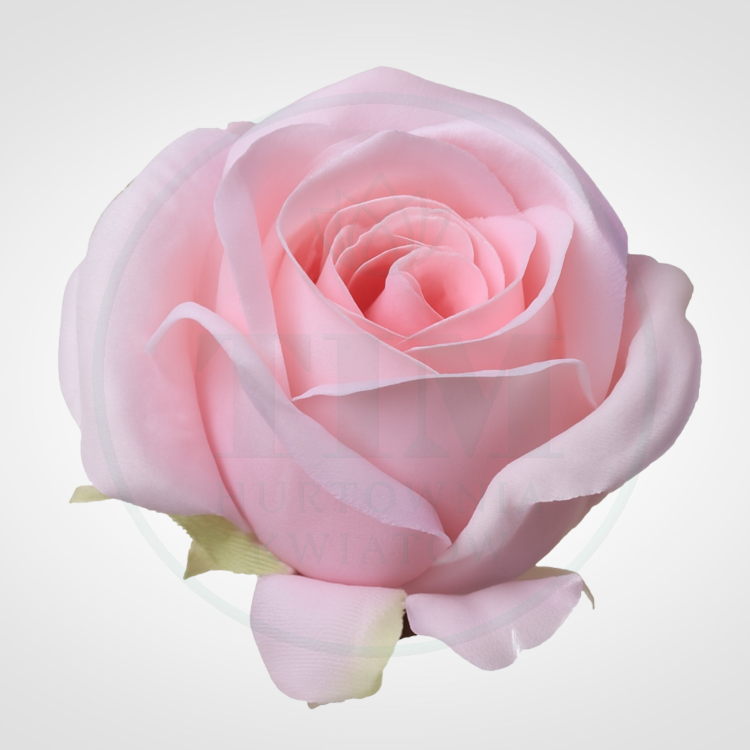 6853d2f64ae619d9b137a028a2f58b74.png
