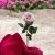 c6a1b5c6240ddbc2a2cc6d170f27118f.jpg