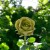 1cf259dea73ad4b441a74df641b02ef6.jpg