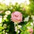 94ecceb9c0e814f61bd72f4d403c465f.jpg