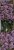 37db1c5ad4afe5fcd2274504be1021ad.jpg
