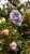 e6ae8fbac6ff01ef5afc6d7c51363e35.jpg