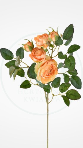 db47165c232f9ce6fff91527ebbb8d6e.jpg