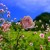 c30cfd4b193043b463998088429ae55a.jpg