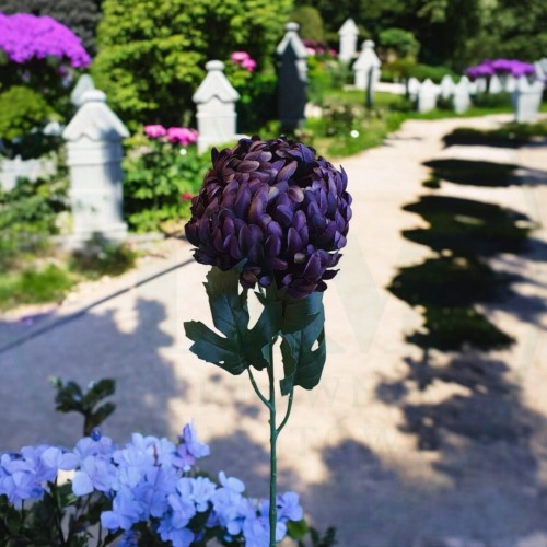 ce6d43729b42f9c58a13f99ef1fd4d22.jpg