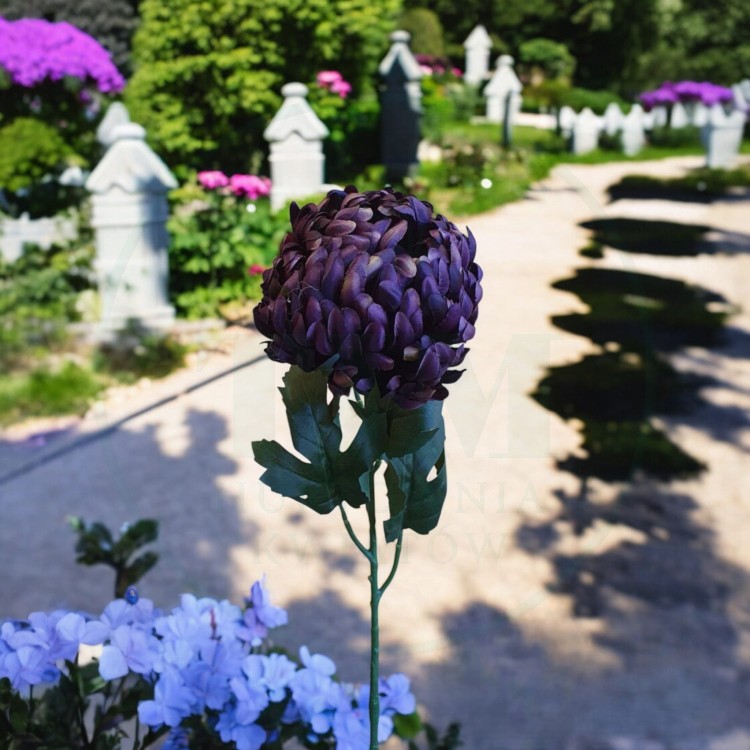 ce6d43729b42f9c58a13f99ef1fd4d22.jpg