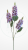 0be34a287b7bd216005bd7ca73980d54.png