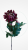81c75fa9f0f6bfea3eeaf65badd126f8.png