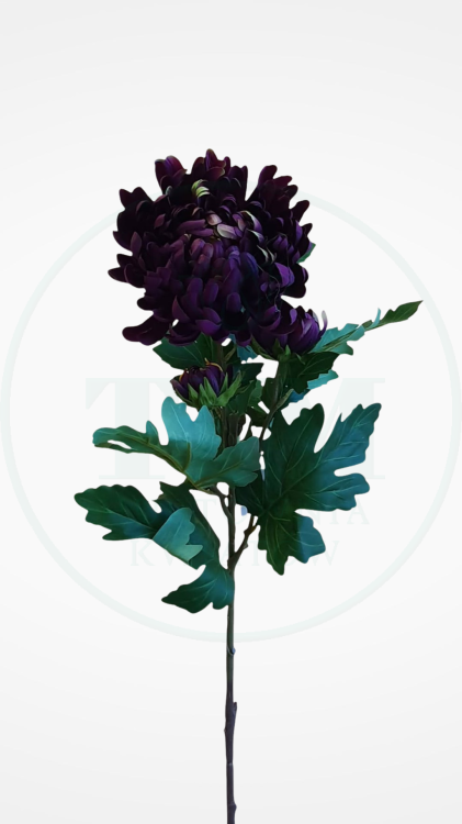 023209191317452532d3e8f820fda1d2.png