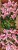97ef0ea40a016b4b7b7224a5d4dbf14f.jpg