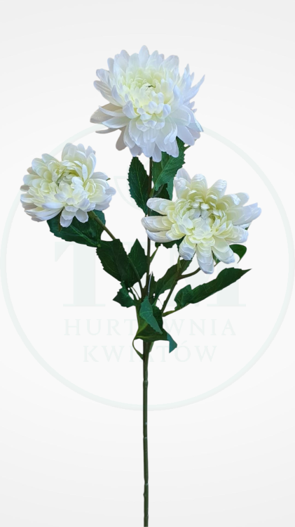 fd000ba35ab331e47e7126b3a7ca1ff4.png