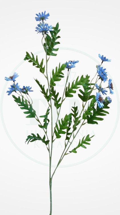 55c4ac46f69fb07f8dd10f5c9de5ed91.jpg