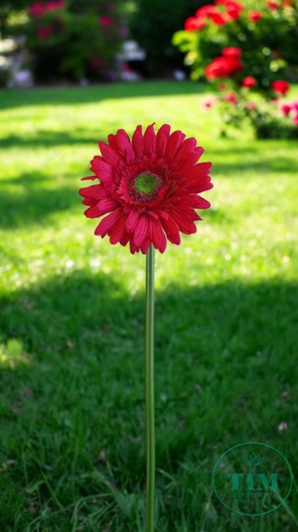 61372ceb84ae5d04533ab5103581c676.jpg