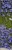 ef1d440800133524183f753d122937db.jpg