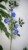 ceec127a9f697f853cc70acad03d0d0f.jpg
