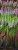 a8ffdb2a75c95d89f999fdd3bff18ddb.jpg