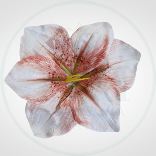 dc284c842ac2faf26b96326868b61221.png