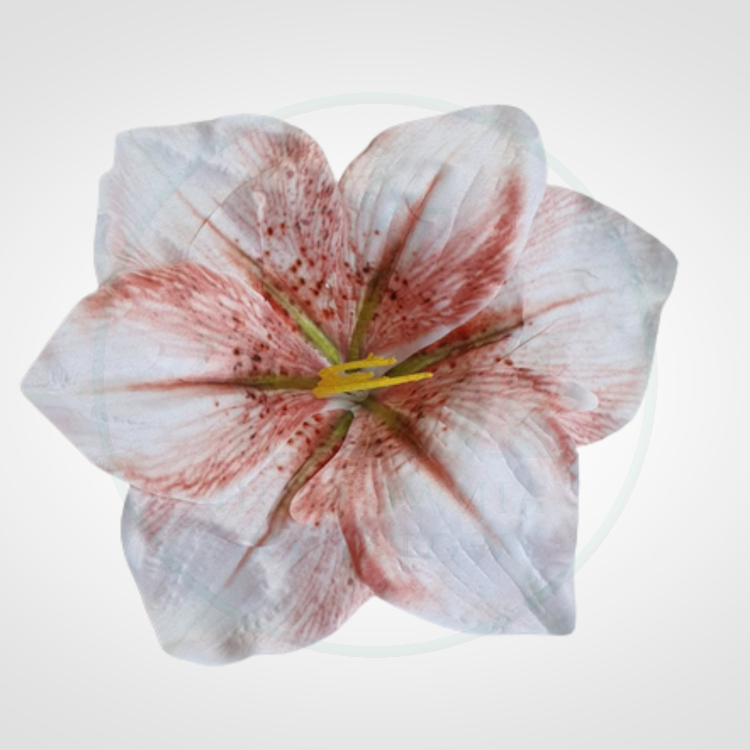 dc284c842ac2faf26b96326868b61221.png