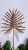 fcc0acee14c8f70d1589720eea59ed39.jpg