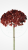 6add68427fe8f649fec84612374ea8f6.png