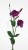 6179dadf52e5ca62565a3750f85d652c.jpg