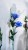 32f2e7a9a52fff2e01244de7f2cafac1.jpg