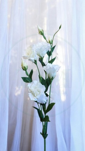 2afdbefdcd61b3bcb6bb33f1ac0d57f0.jpg