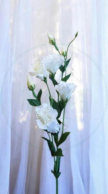 2afdbefdcd61b3bcb6bb33f1ac0d57f0.jpg