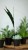 65aadc088d9d58a5030725237258a00d.jpg