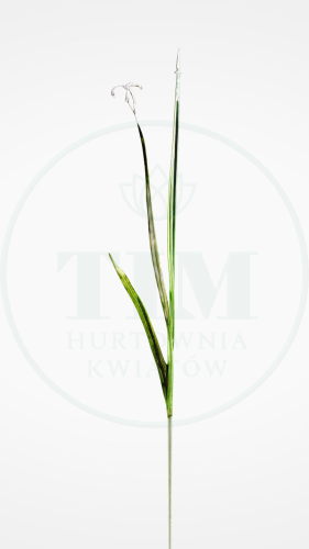 9a6236722dcaa4439dceab429f09282c.png
