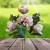 b5172862ab063db1e8de7925c9ba4842.jpg