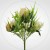 72be5f8c9c70e904ea40a50eccb3c9c4.jpg