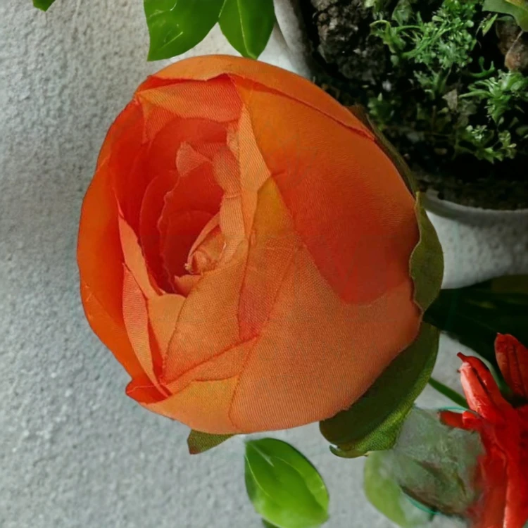52b83f47d250c77f61f9ac96f2178f06.jpg