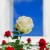 ee74936fedeac55346f8b63ae5a77efb.jpg