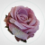 9ff9f8c4f20797186208eb6c41b4338b.png