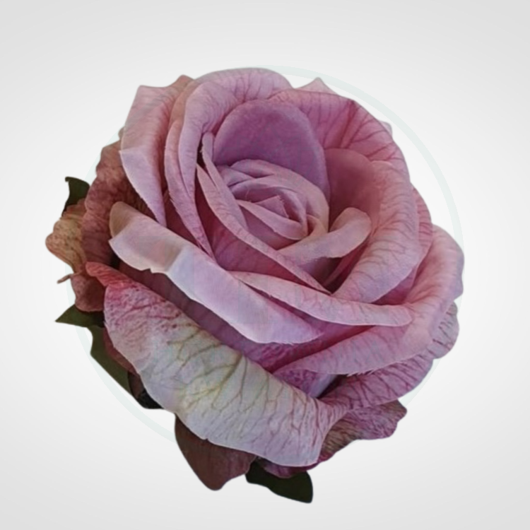 9ff9f8c4f20797186208eb6c41b4338b.png