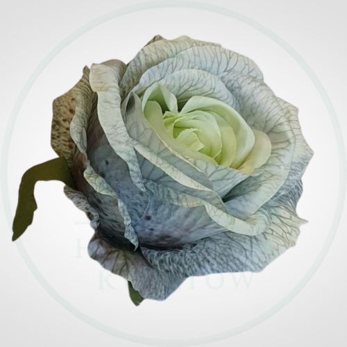 a5e9a1ab76c22b9bf70983654c0ab7a6.png