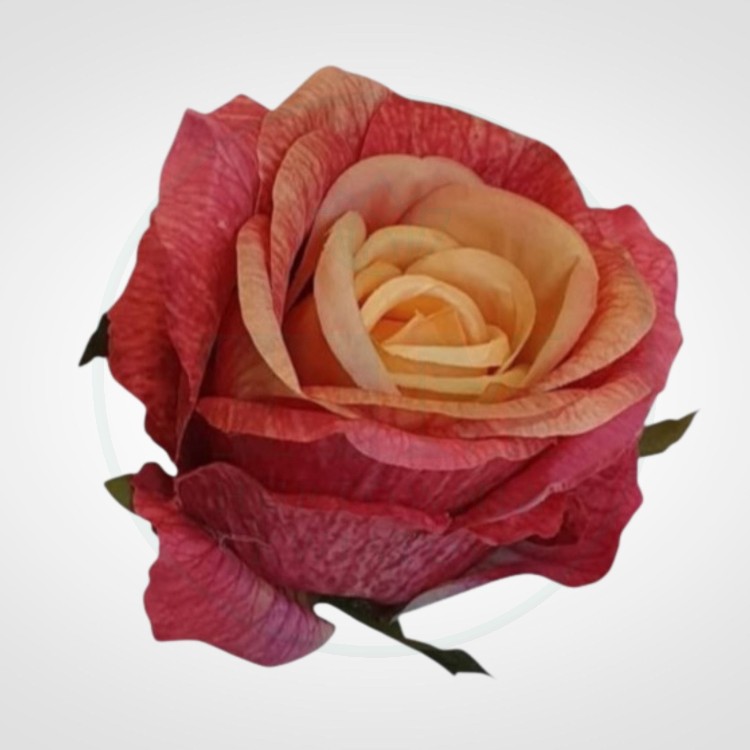 5efe5de3999bcb4112f5376bbb022202.jpg