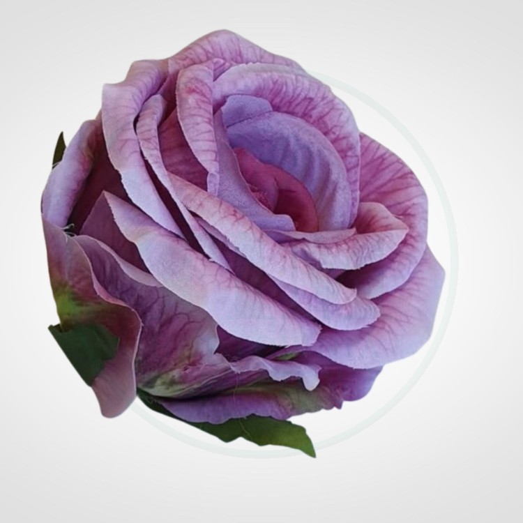 8a5c072e123f50a9a1fbe5ccb78bf6ee.jpg